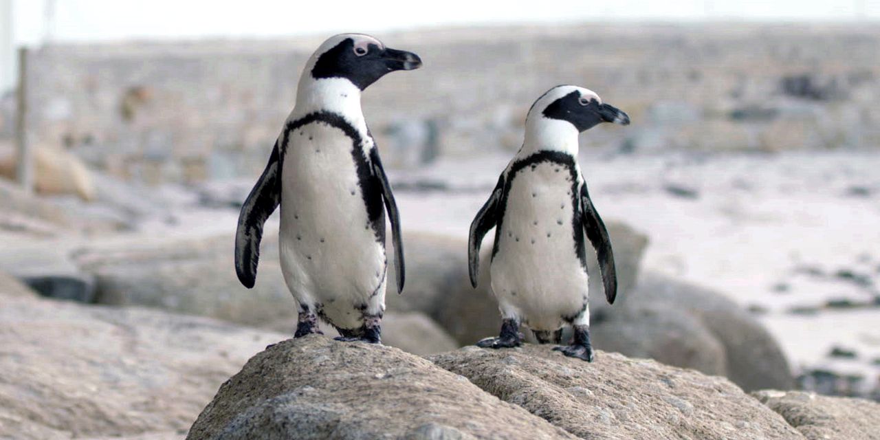 What to Watch: 10 Shows and Movies to Stream This Week