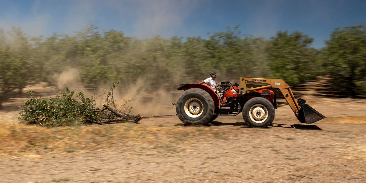 Western Drought Reveals Need for Stronger Farm Protections, Agriculture Secretary Says