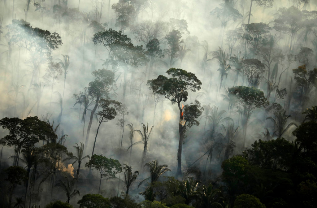 Brazil redeploying troops to Amazon rainforest, bans most fires