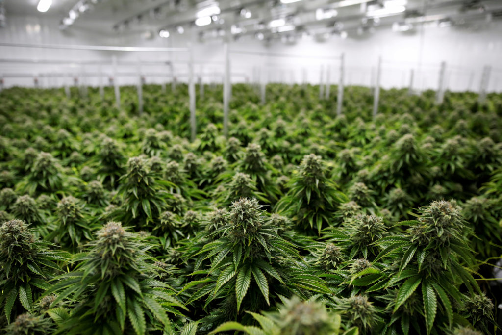 Connecticut legalizes recreational use of marijuana