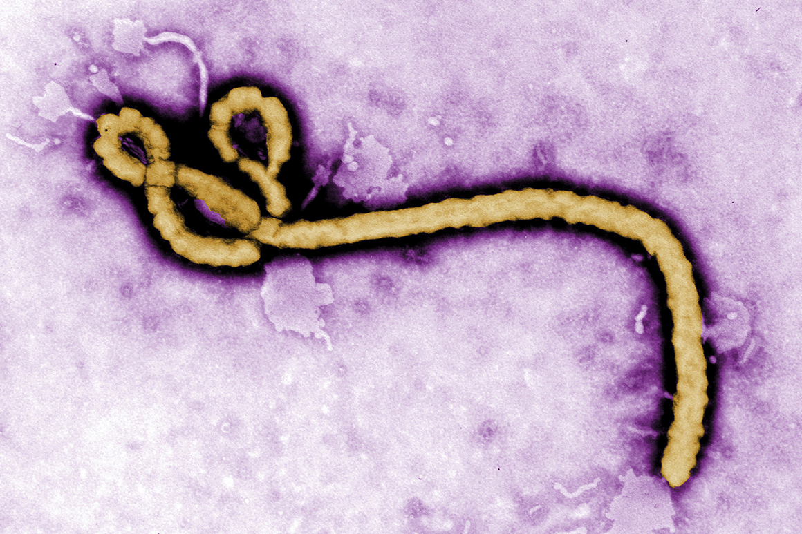 Guinea declares end to latest Ebola outbreak