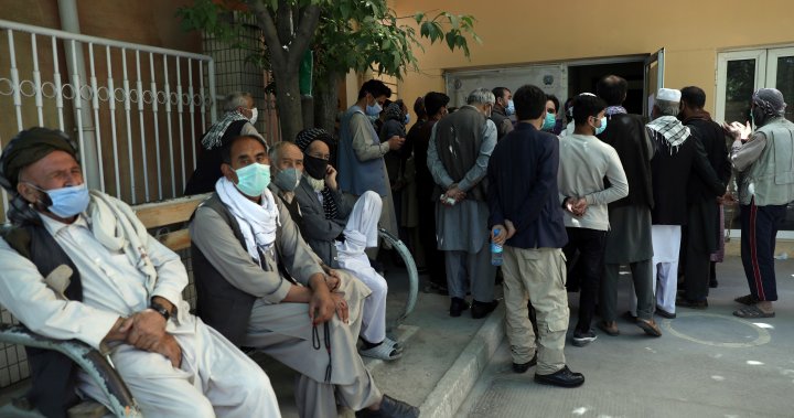 Afghanistan COVID-19 cases rise 2,400% as virus spirals out of control – National