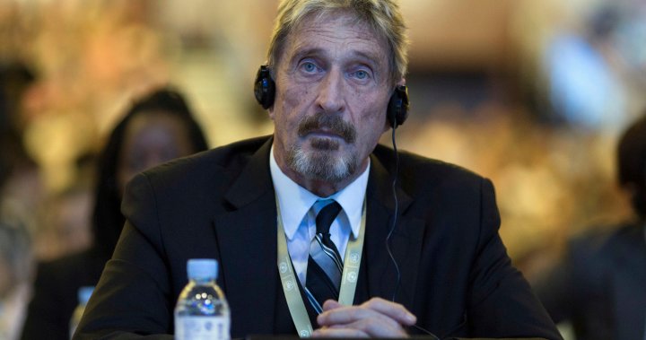 John McAfee, antivirus software creator, found dead in his Spanish jail cell – National