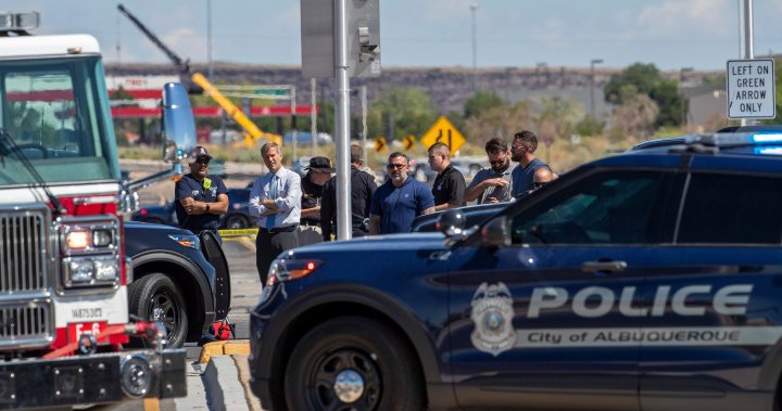 5 dead in New Mexico hot air balloon crash – National