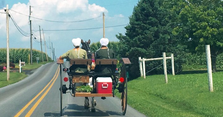 God’s will? Amish place hope in faith, herd immunity over COVID-19 vaccine – National