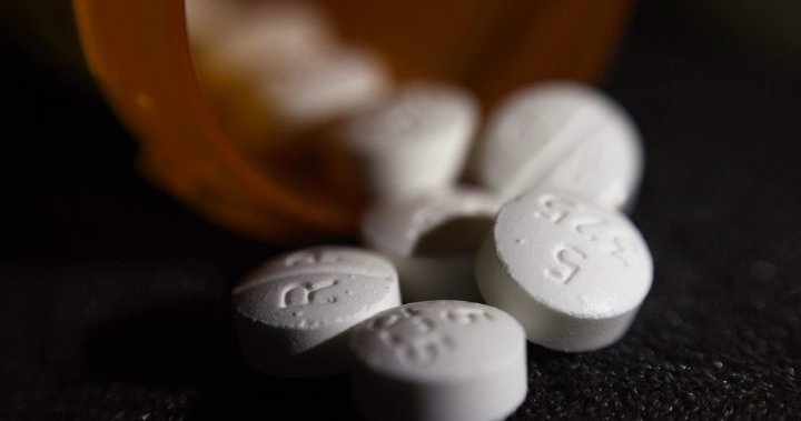 17 Canadians died per day from opioids in 2020 amid COVID-19 crisis, PHAC says – National