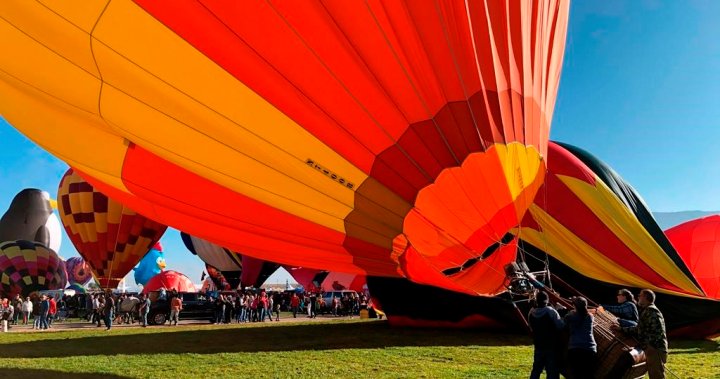 Police release names of 5 who died in New Mexico hot air balloon crash – National