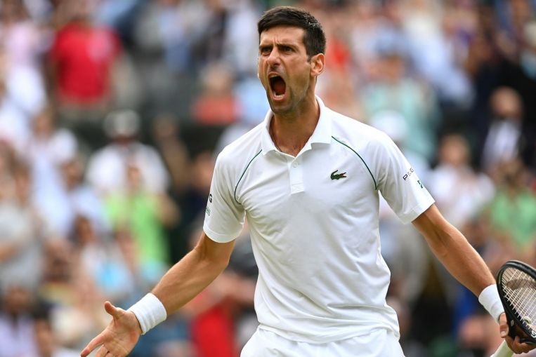 Tennis: Djokovic tames Shapovalov to reach Wimbledon final, Tennis News & Top Stories