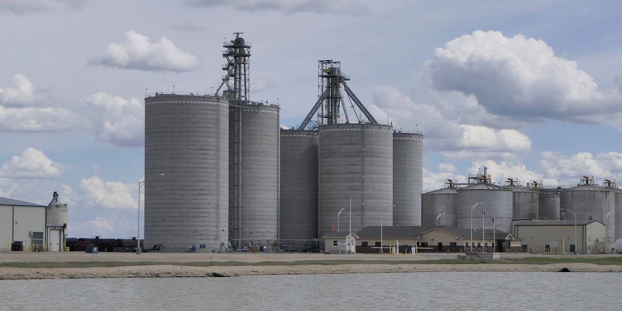 Court Strikes Down Attempt to Expand Summer Ethanol Sales