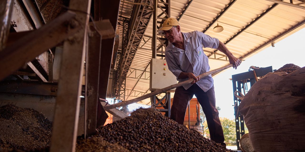 Coffee Prices Soar After Bad Harvests and Insatiable Demand