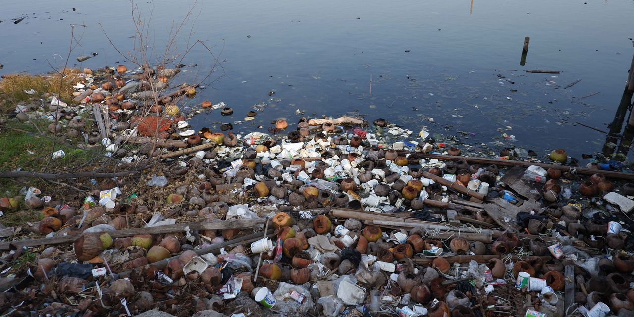 Scientists Win .2 Million Prize for Research That Could Make Protein Shakes from Plastic Waste