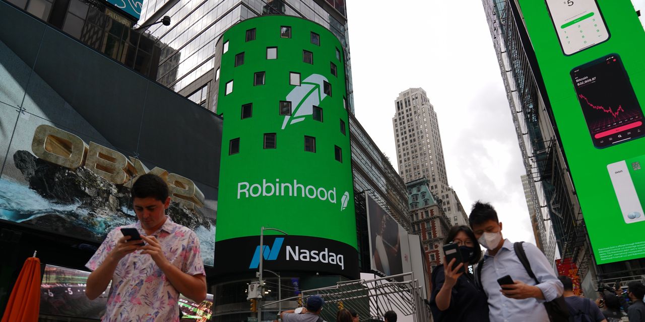 Robinhood Shares Fall 12% After IPO