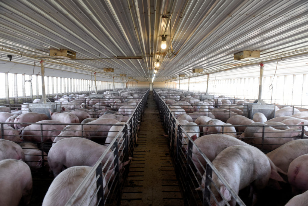 USDA unveils 0 million plan to help build more, smaller meat processing plants