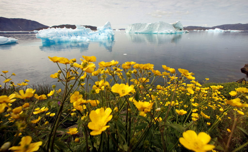 Greenland suspends oil exploration because of climate change