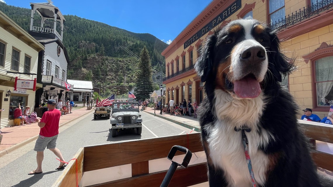 Dog mayor of Georgetown leads July 4 parade