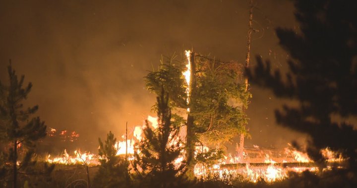 Heat domes and wildfires: New approach needed in extreme weather fight, report author says – National