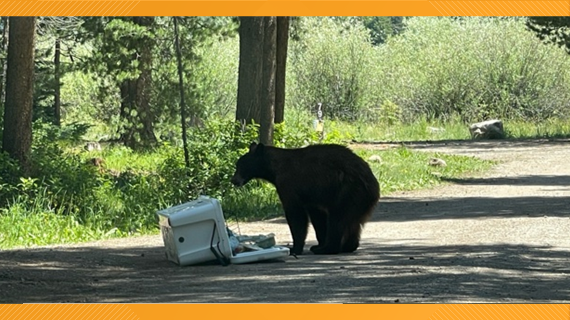 USFS restricts Chapman Campground to hard-sided campers only