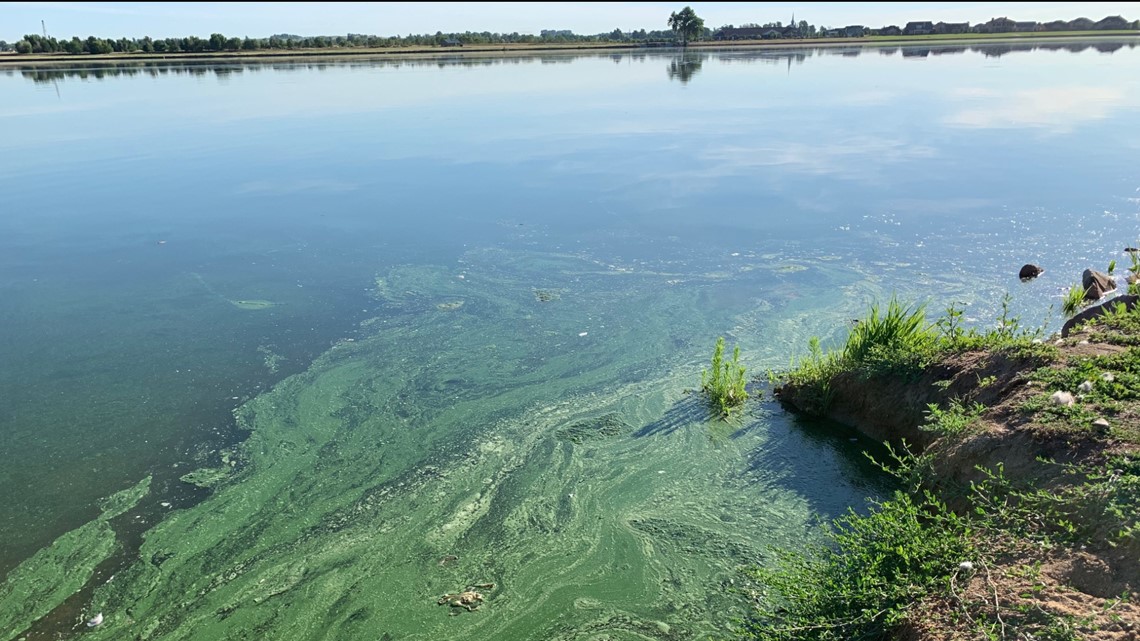 Blue-green algae found at Sloan’s Lake in Denver