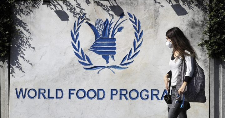 ‘Catastrophic’: Hunger expected to rise in 23 global hotspots, UN warns – National