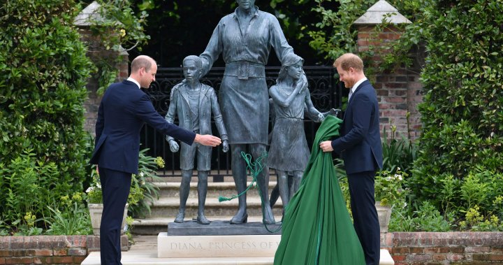 Princes Harry, William set aside squabbles to unveil Princess Diana Statue – National