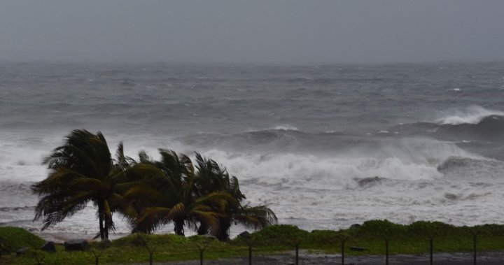 Elsa slows to tropical storm as it races towards Haiti, Dominican Republic – National