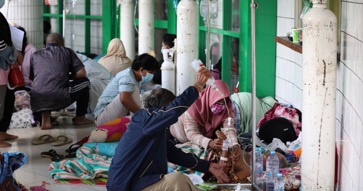 Indonesia faces oxygen shortage as hospitals buckle from surge in COVID-19 cases – National