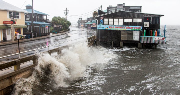 Florida spared of major damage as weakened Tropical Storm Elsa makes landfall – National