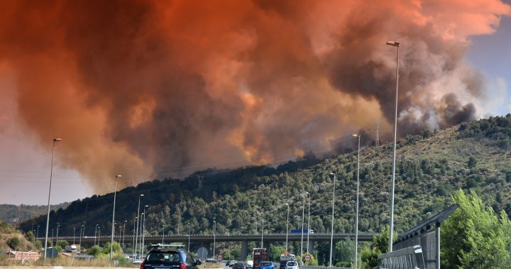 About 300 firefighters work to combat wildfire burning through northeast Spain – National