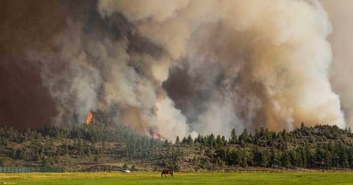 U.S. states draw outside support as wildfires blast through West – National