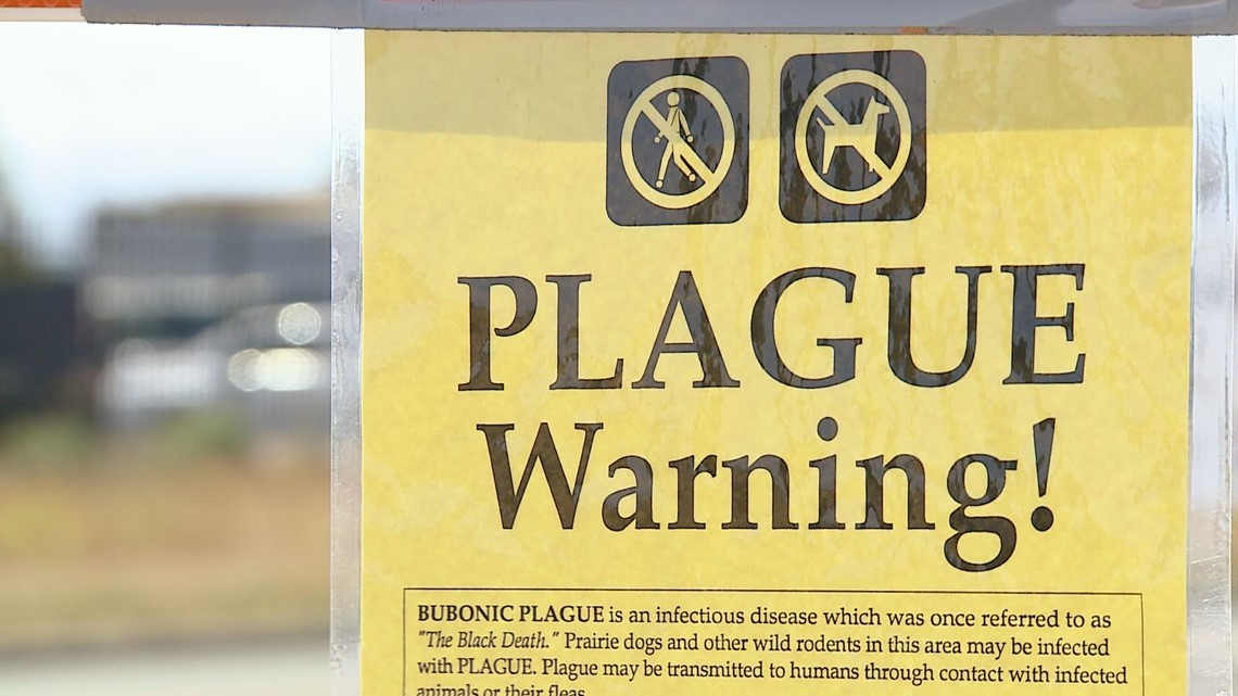 Plague confirmed in 6 Colorado counties following child’s death