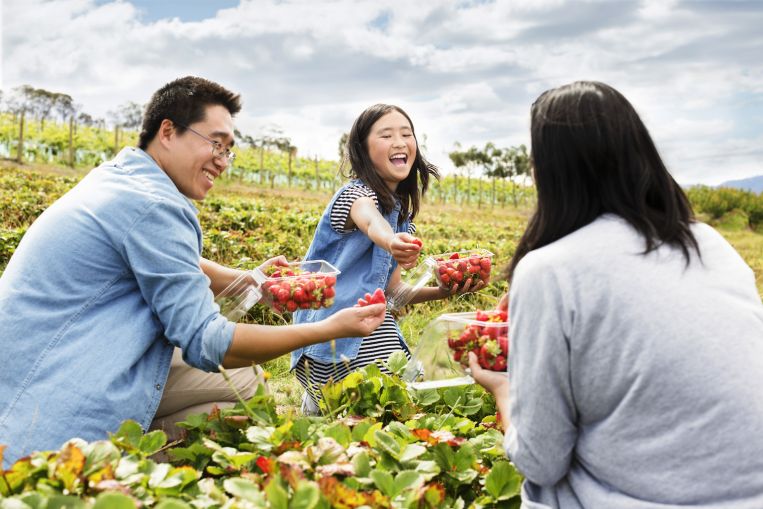 The Australian good food guide: Restaurants, cafes and food tours to try on your next holiday Down Under, Travel News & Top Stories