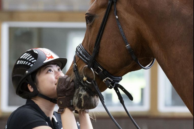 A Singaporean Olympian and her horse: A friendship bred for battle, Sport News & Top Stories