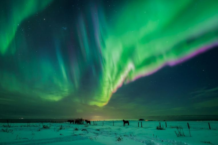 Aurora hunting in my darkened room: Iceland’s Northern Lights are wondrous on a virtual tour, Travel News & Top Stories