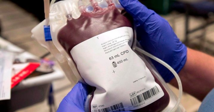 Canada needs over 23,000 blood donors this month to meet urgent demand, agency says – National