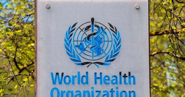 World Health Organization ill-equipped to probe origins of COVID-19, experts argue – National