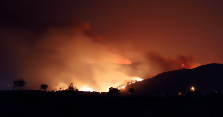 Turkey evacuates power plant as wildfire nears – National
