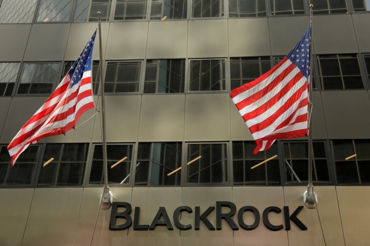 BlackRock joins Citi to study plan to shut coal plants early, Banking News & Top Stories