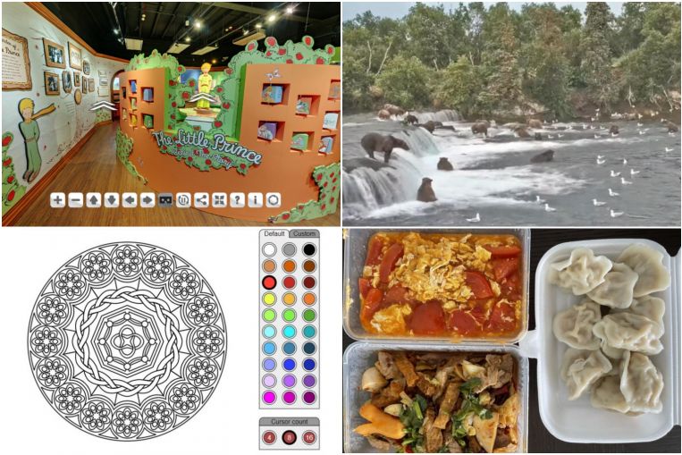 Stay-home guide for Monday: Watch wildlife live streams, create your own mandala and more, Life News & Top Stories
