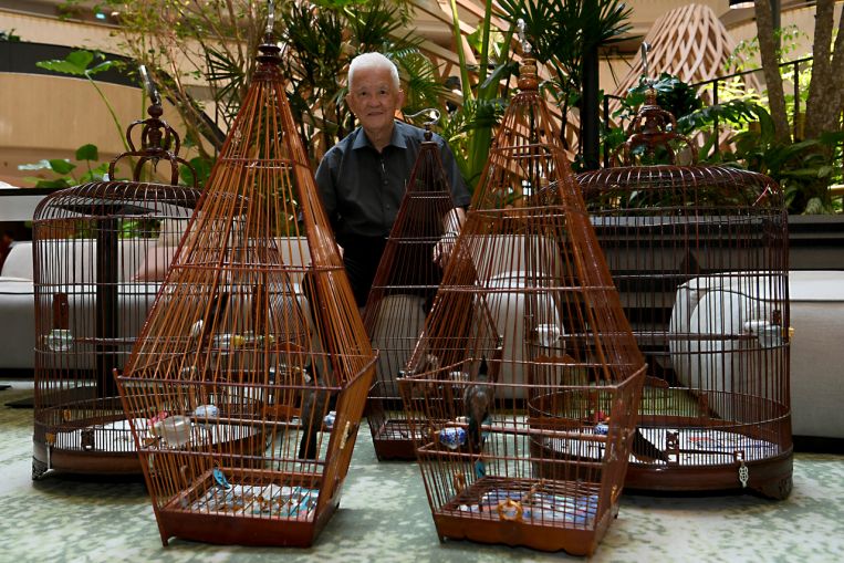 Unsung S’pore icons: Uncle Chia, 82, spreads joy with pet songbirds in plush hotel, Life News & Top Stories