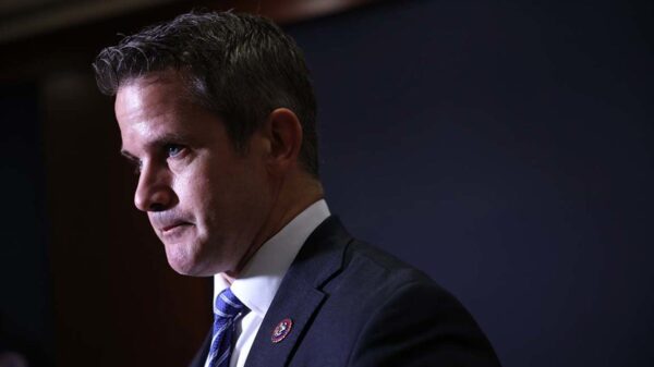 Kinzinger teases political future in retirement announcement