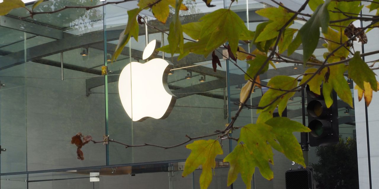 Apple, Tesla, Robinhood: Stocks That Defined the Week