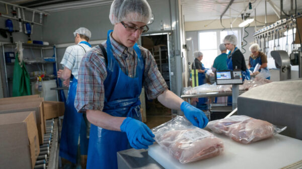 USDA rethinks approach to controlling salmonella in poultry