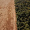 Brazil to seek zero deforestation by 2028, up from 2030