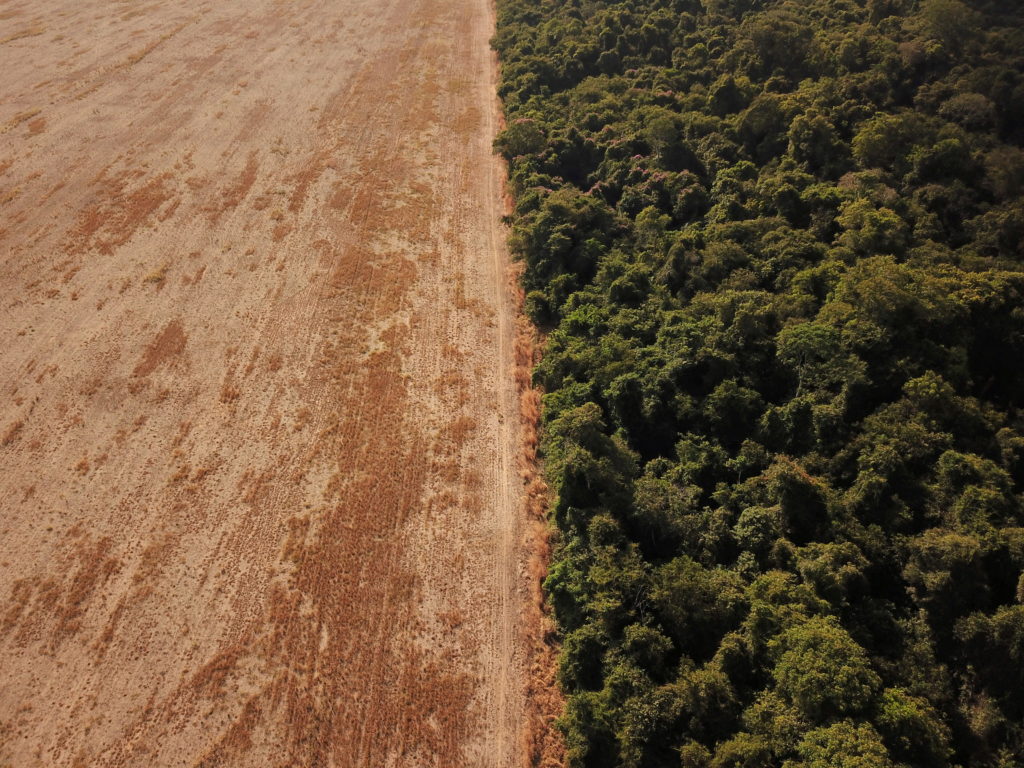 Brazil to seek zero deforestation by 2028, up from 2030