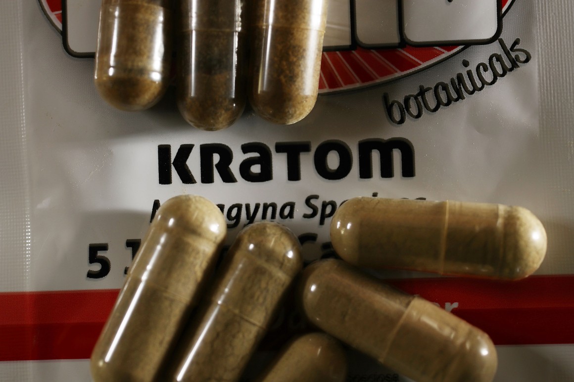 A global fight looms over Kratom, a possible opioid alternative