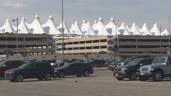 DIA CEO to address security lines, parking problems