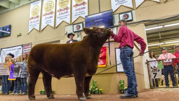 Volunteers needed for National Western Stock Show