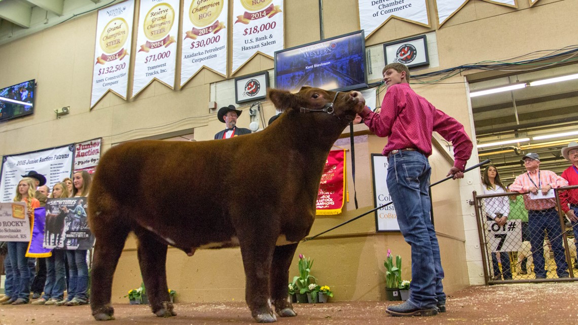 Volunteers needed for National Western Stock Show