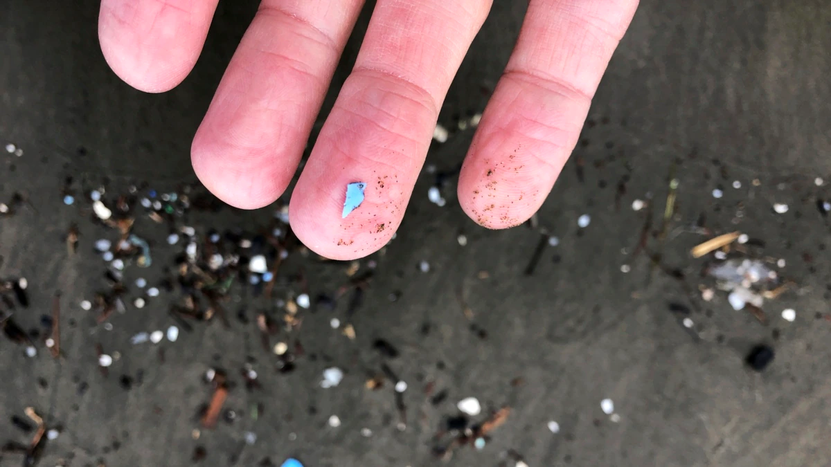 New Zealand Scientists Investigate Microplastics’ Impact on Climate Change