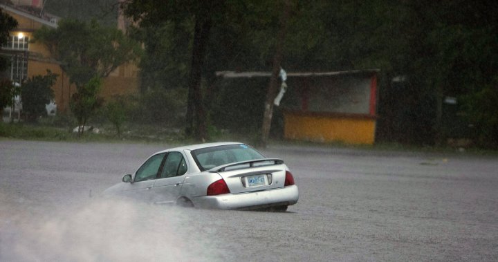 Hurricane Rick lowered to tropical depression as it roars over Mexican coast – National